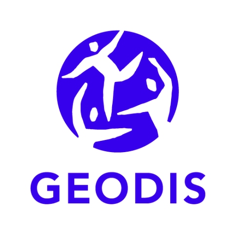 2020 GEODIS