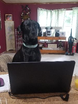 Doing this for you. I miss you.